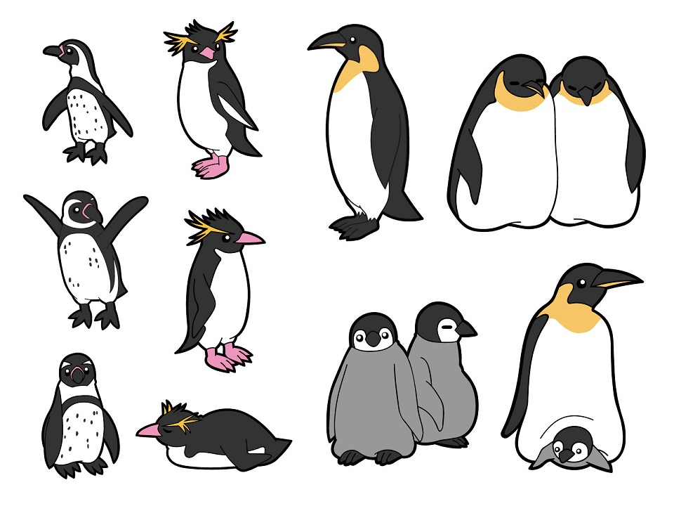ペンギン保証の画像